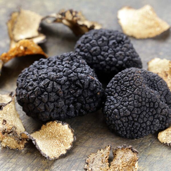 fresh black winter truffle min